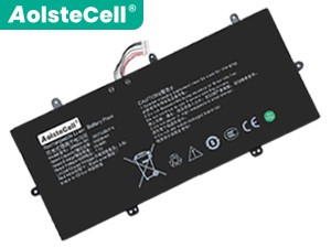 Battery for AolsteCell 2895B4-001