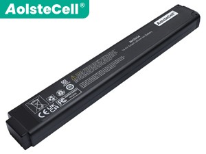 Battery for Inspired Energy LasairIII 110 PMS