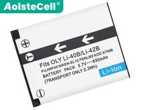 Battery for Leica BP-DC17