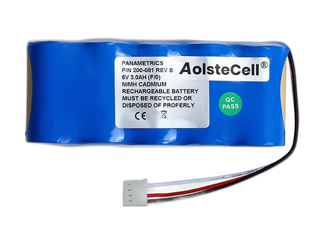 Measurement Instrument Panametrics 200-081 Battery Replacement