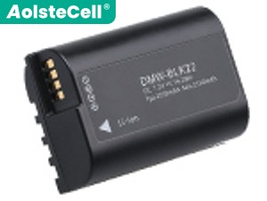 Battery for Panasonic DC-S5M2XK